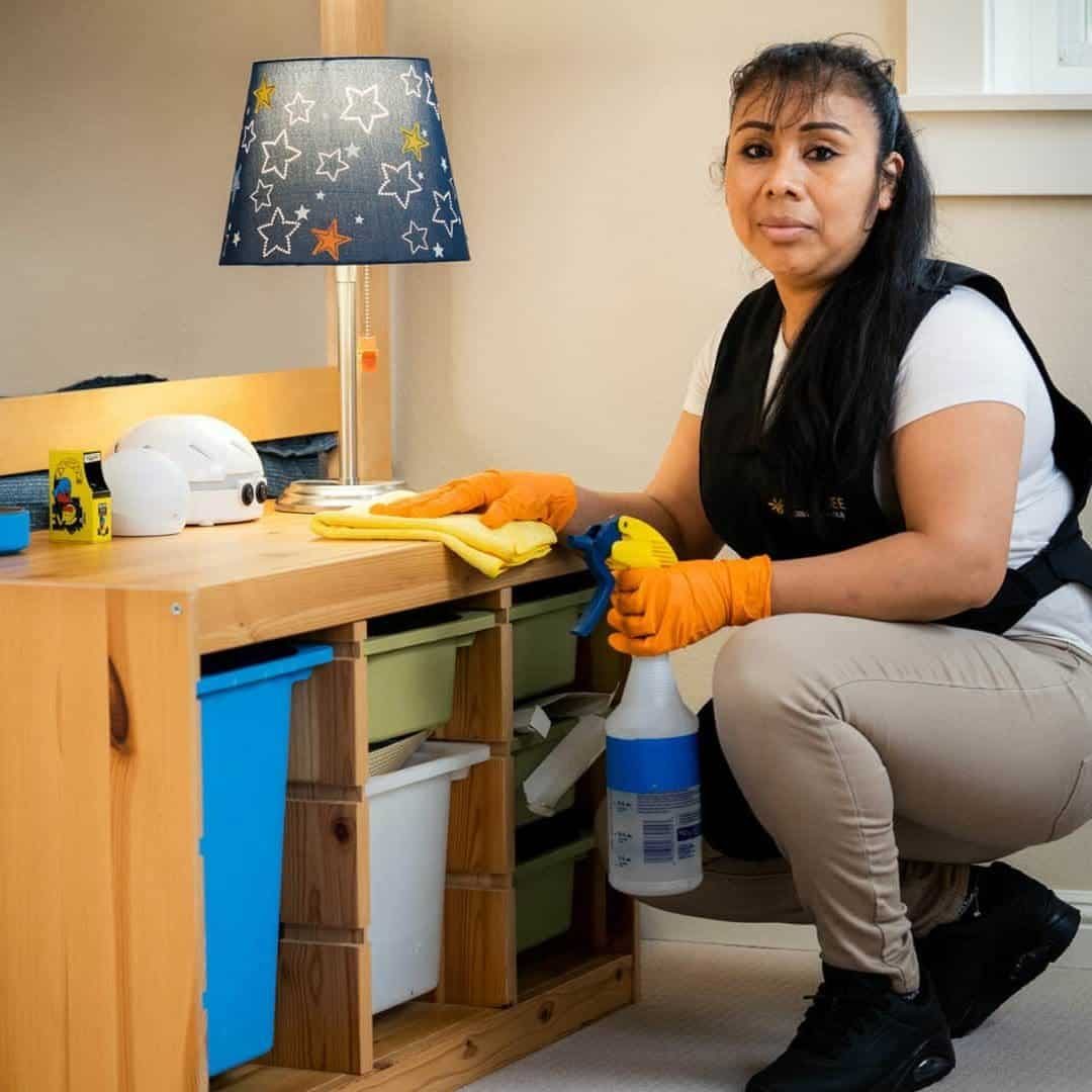 Professional Delafield house cleaning results